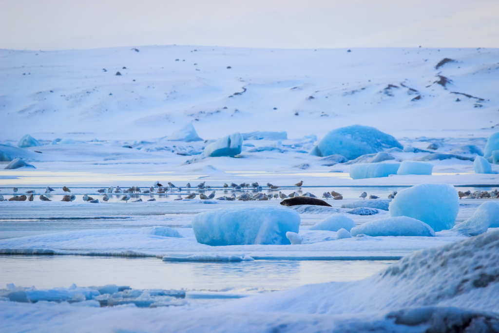 Jökulsárlón